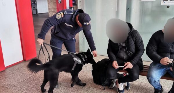 Actiune extinsa a poliiei in transportul feroviar sute de sanciuni si infraciuni identificate in 7 judee Mecanic de tren din Olt prins cu motorina furata