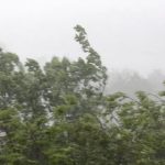 cod galben de vant puternic si precipitatii in mai multe zone din tara avertizare si pentru judetul Olt