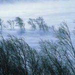Iarna in aprilie vant puternic ninsori si temperaturi neobisnuite de scazute