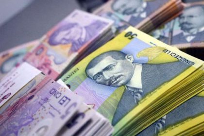 aproape 300000 de euro de la firma de spatii verzi a primariei slatina pentru o companie cu doar trei angajati prin achizitii directe