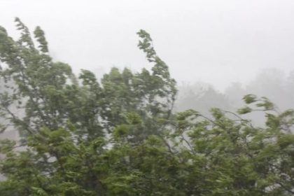 cod galben de vant puternic in oltenia si alte zone rafale de pana la 120 kmh