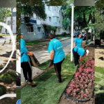 Acuzaii serioase la adresa firmei de intretinere a spatiilor verzi a Primariei Slatina Cine de fapt realizeaza lucrarile attribuite companiilor private