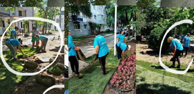Acuzaii serioase la adresa firmei de intretinere a spatiilor verzi a Primariei Slatina Cine de fapt realizeaza lucrarile attribuite companiilor private