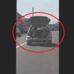 Doi copii gasiti in portbagajul unei masini cu hayonul deschis soferul a fost identificat si sanctionat FOTO