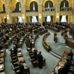 Legea integritatii a fost aprobata si de Senat cu 105 voturi Dominic Fritz risca sa si piarda mandatul