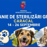 Sterilizari gratuite pentru caini si pisici timp de aproape doua saptamani in Caracal Cine poate beneficia si cum se fac programarile