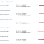Administrația De Mezzo finanțează în continuare firmele de casă. Cinci contracte