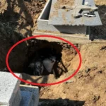 Oseminte umane în saci de rafie, găsite în cimitirul din Slatina. Dosar penal deschis