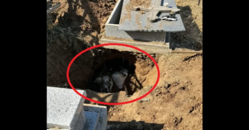Oseminte umane în saci de rafie, găsite în cimitirul din Slatina. Dosar penal deschis