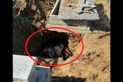 Răsturnare în cazul osemintelor de la Strehareți. Avocatul firmei, explicații